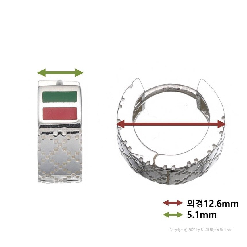 Scottina Premium High-Purity Silver Earrings – Elegance That Lasts