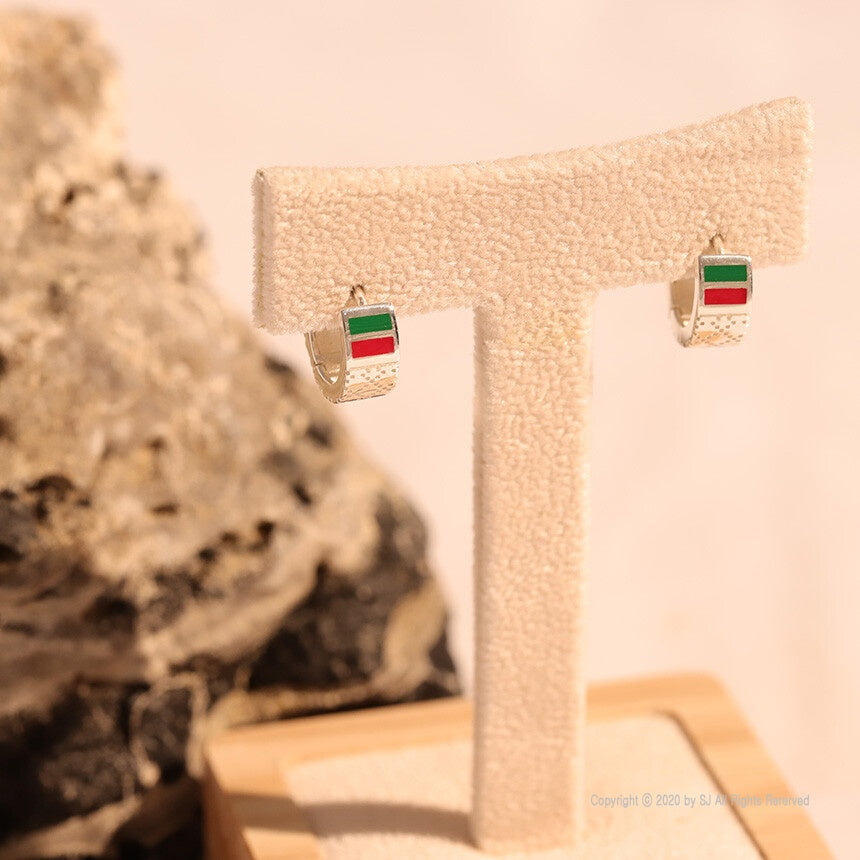 Scottina Premium High-Purity Silver Earrings – Elegance That Lasts